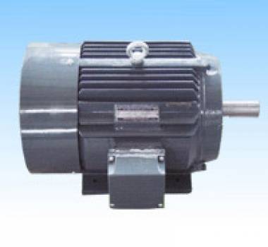 東莞DG90~355系列高效率三相異步電動機