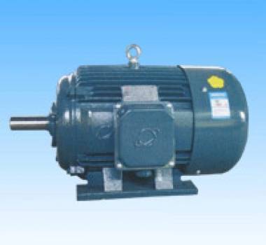 YD、YDT~315系列變極多速三相異步電動機，東莞環球電機廠