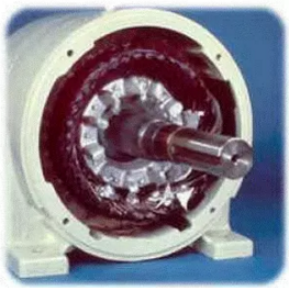 轉(zhuǎn)子鎖死 轉(zhuǎn)子鎖死